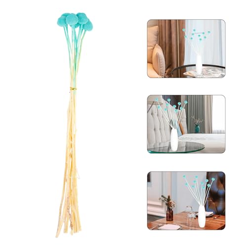 Flor seca Craspedia azul para decoración y manualidades miniatura 4