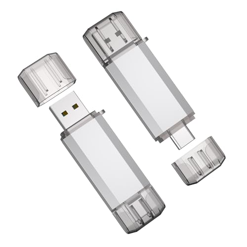 Clé USB C 64 Go RAOYI : clé double OTG USB 3.0 en métal argenté pour smartphone et PC