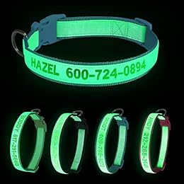 Wlitchi Personalized Reflective Dog Collars, Custom Glowing Luminous ID Collar Embroidered Name and Phone Number 4 Adjustable Sizes X-Small Small Medium Large for Boy and Girl Dogs (Fluorescent Glow)