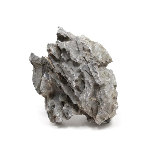 `󂨔C  kTCYiPW`QRj P ANAE CAEgf