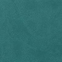 RHODIA