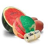 Cash Money Bath Bombs (Watermelon & Apricot) - Jumbo Size Bath Bomb, 7.5oz - Money Soap Bathbombs -...