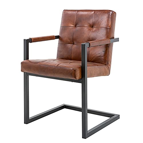 riess-ambiente.de Echtleder Freischwinger Stuhl Grand Buffalo braun...