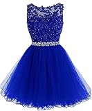 Dydsz Women's Appliques Royal Blue Homecoming Dresses for Teens 2025 Tulle Prom Dress Short Wedding Guest Dress 126 Size 10