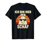 Fun & Humor Sprüche & Geschenke