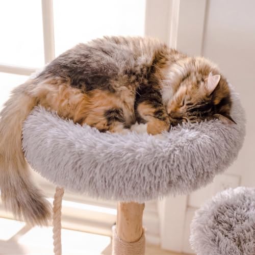 Image of Mau - Modern Wood Cat Tree Tower, Real Branch Scratching Post, Cat Condo