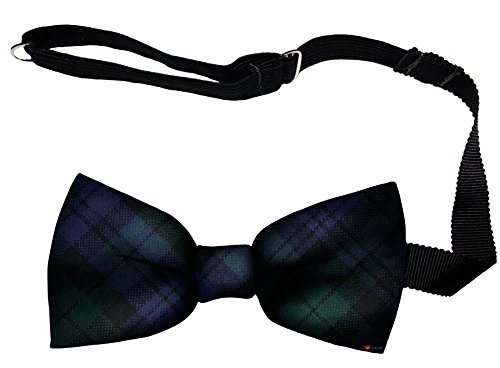 Noeud papillon homme Campbell Modern pour mariages et soirées