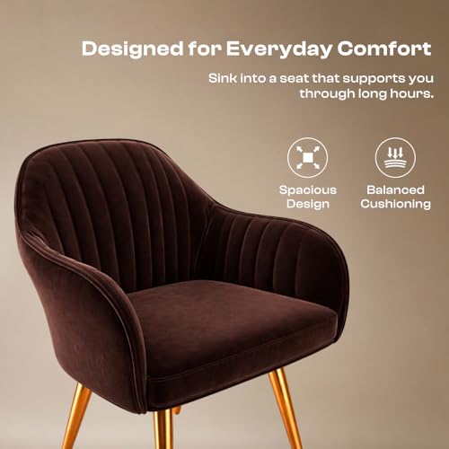 Image of Vergo Plush Velvet Dining Chair, Cushion Seat, Wooden Frame, Metal Legs, Premium Accent Chair for Living Room, Bedroom, Dining Room, Cafe & Restaurant (Set of 2, Dark Brown)