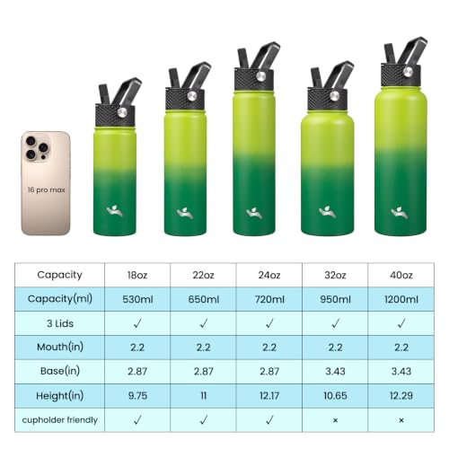 Image of Konokyo 24 oz Insulated Stainless Steel Water Bottle with Straw Lid