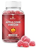 Apple Cider Vinegar Sugar Free Gummies with The Mother - Formulated for Weight Control - Gluten Free, No Glucose Syrup, ACV Gummies Alternative to Capsules & Drink 60 ct (1 Bottle)