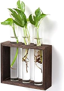 Mkono Wall Hanging Glass Planter Propagation Station Modern Flower Bud Vase in Vintage