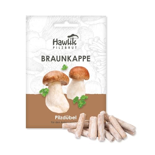 Hawlik Pilzbrut - Set di coltivazione funghi Braunkappe per l'uso su paglia - Coltivazione hobbistica di funghi in giardino - 20 pezzi - Stropharia rugosoannulata micelio - Facilissimo coltivare