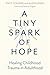 A Tiny Spark of Hope: Healing Childhood Trauma in Adulthood