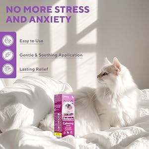 RELAXIVET Calming Pheromone Spray & Scratch Repellent for Cats - Reduces Scratching Furniture, Pee - During Travel, Fireworks, Thunder, Vet Zone - Helps to Relief Stress, Fighting, Hiding RELAXIVET Calming Pheromone Spray Scratch Repellent for Cats Reduces Scratching Furniture Pee During Travel Fireworks Thunder Vet Zone Helps to Relief Stress Fighting Hiding