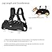Wakytu Hundetasche für Kleine Hunde Notfallrucksack, Hundetragetasche für Behindert, Gelenkverletzungen, Ältere Hunde Treppen rauf und runter, Autos Hundetragetuch (33-66 LBS)