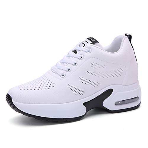 [Sanguine] fB[X Cq[Xj[J[ Xj[J[ 8cm V[NbgV[Y r fB[XXj[J[  V[Y C q[Abv Xj[J[ Cq[   zCg 23.0cm