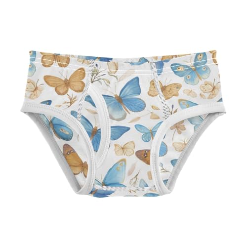 Wusikd Watercolor Blue Boys' Underwear Cotton Brown Butterfly Boys Briefs Soft Toddler Underwear 2T