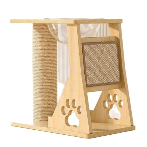 Apaeofl ƒpXy[XJvZ^LpNC~Ot[ ̌^TCU܂Ƃ|Xgt WvvbgtH[܂Ƃ{[h (A)