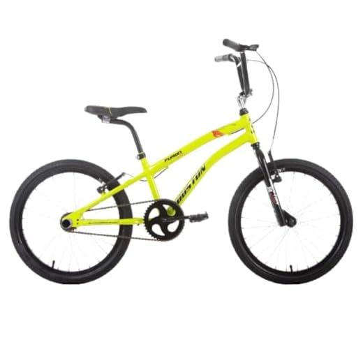 Bicicleta Furion Aro 20