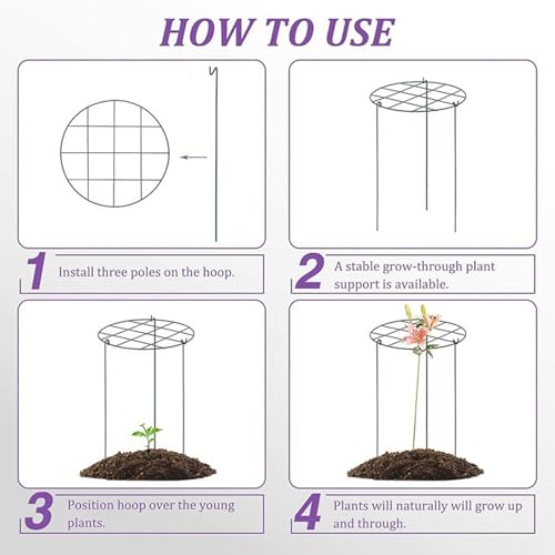 Heavy Duty Peony Supports, Peony Cages And Supports, 4Pcs 12X16'' Iron Round Plant Cages & With 3 Legs For Rose, Tomato, Orchids Vines - 7