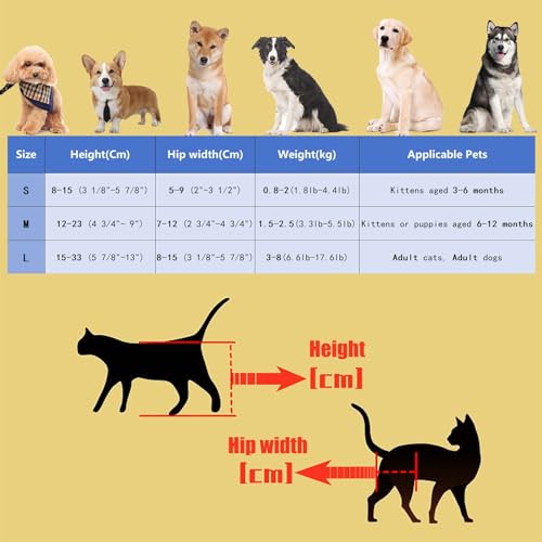 Silla de ruedas para perros y gatos con parálisis: solución a la inmovilidad 8