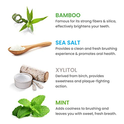 Himalaya Botanique Whitening Antiplaque Toothpaste with Bamboo + Sea Salt, Fluoride Free, for Gentle Whitening, 4 oz