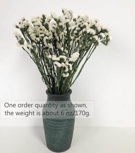 Ramo de flores secas Sea Lavender y Myosotis 22 pulg miniatura 4