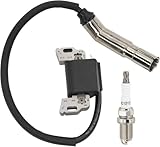 Module de bobine d'allumage pour tondeuse à gazon Briggs Stratton 595304 795315 799650 592841 21A Série 31A Série 33R