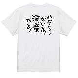 [いろどりTシャツアイシー] ハゲ系半袖Tシャツ 【ハゲじゃぁないよ！河童だよ！】 おもしろTシャツ ネタTシャツ 黒 白 (XXXL, ホワイト-背面プリント)