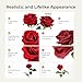 Auihiay 14PCS Red Roses Artificial Flowers, Fake Red Roses Bouquet with Long Stems for Romantic Valentine's Day, Anniversary, Wedding & Home Decoration