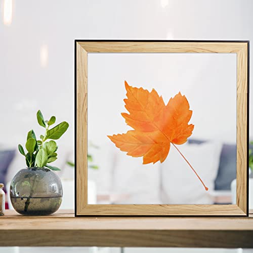 Image of 6 Pack of PET /Plexiglass Sheets 24x36-0.04 inch Clear Plastic Sheet Panels for Picture Frame, Sign Blank, DIY and Crafts Project