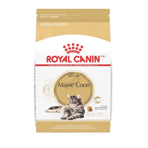 Royal Canin Feline Breed Nutrition Maine Coon Adult Dry Cat Food, 6 lb Bag