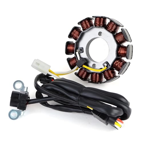 Stator d'allumage résoud les pannes de batterie Yamaha WR450F 2003-2006
