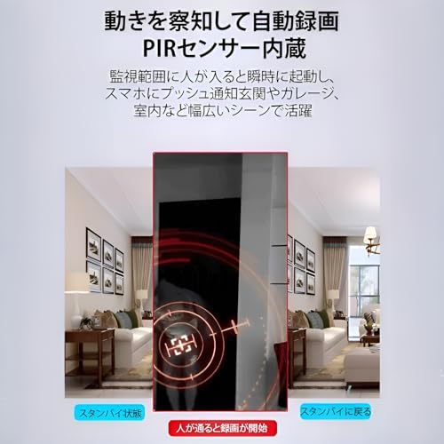 Luvian 極小隠しカメラ 1080Pモデル