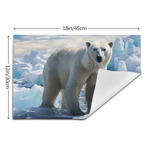 Sets de table antidérapants et résistants à la chaleur lot de 6 PVC - 3