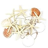 Heyiwell 95' Inch Irish Flat Shells & White Starfish Garland,Beach Garland Decorative for Ocean Coastal Nautical Party Decoration