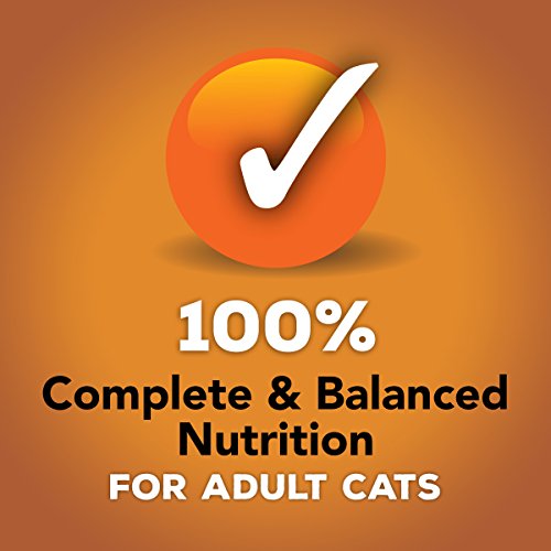 Purina Friskies Pate Wet Cat Food Variety Pack, Extra Gravy Pate Chicken, Turkey, Salmon & Tuna - (24) 5.5 Oz. Cans #TOP6