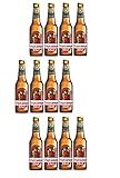 Cerveza laguer especial SIN GLUTEN, apta para celíacos