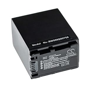 vhbw Akku kompatibel mit Sony FDR-AX33, FDR-AX45, FDR-AX40, FDR-AX700, FDR-AX60, FDR-AX53 Videokamera Camcorder (3050 mAh, 7,  V, Li-Ion)