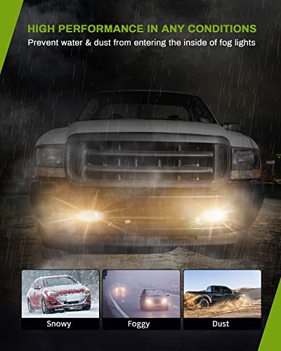 Autosaver88 Fog Lights Compatible With 99-03 1999 2000 2001 2002 2003 Ford F150 / 1999 F250 / 99 00 01 02 Ford Expedition / 2004 Ford F-150 Heritage Fog Light Replacement, With 12V 42W H10 Bulbs #TOP5