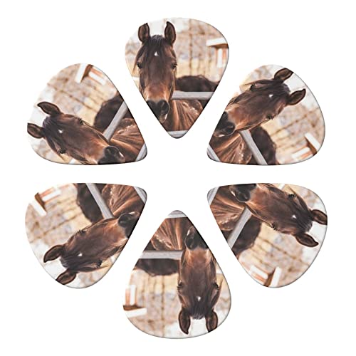 Ensemble de 6 médiators de guitare Brown Horses pour guitare acoustique, guitare électrique, basse, ukulélé – fin, moyen… - Les Beatles, Paul McCartney, John Lennon, RIngo Starr, George Harrison Ensemble de 6 médiators de guitare Brown Horses pour guitare acoustique, guitare électrique, basse, ukulélé - fin, moyen… – Image 5