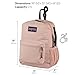 JanSport Central Adaptive Backpack – Wheelchair & Walker Compatible, Tuck-Away Shoulder Straps, Adjustable Backrest Loops & Anchor Straps, Iconic Design, Black