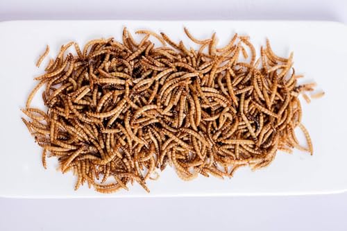 kimoe Non-GMO Bulk Dried Mealworms 10LB Bag for Chickens, Ducks & Wild Birds — 100% Natural High-Protein Feed to Boost Egg Production, Feather Health & Immunity - Image 5