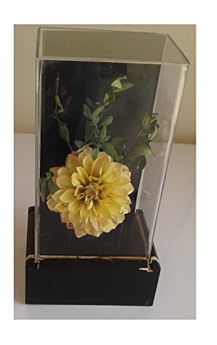 NFW Wooden base 4 x 3 with acrylic box 7 inches