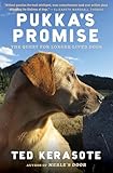 Pukka's Promise: The Quest for Longer-Lived Dogs