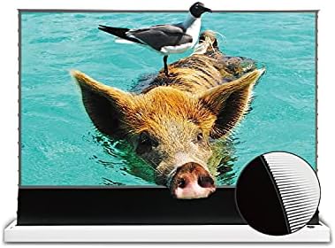 VIVID STORM SINCE 2004-Projector Screens S PRO 120inch Electric Tension Floor Rising Screen,compatible with Ultra short throw laser projector,VWSDSTUST120H