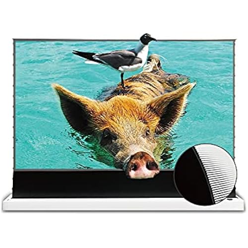 VIVIDSTORM Motorized UST Screen, Tensioned Surface, 4K/8K HDR Ready, Perfect for Cinematic Viewing and Entertainment,VWSDSTUST110H