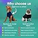 PetPhindU Dog Surgery Recovery Suit for All Dog Sizes Anti Lick Spay Neuter Recovery Suit Surgical Onesie for Dogs Dog Cone Alternative Surgical Onesie for Dogs Spay Recovery (M/L,Black)