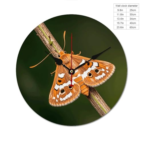 Horloge murale sans échelle pour éliminer le stress du temps avec élégance