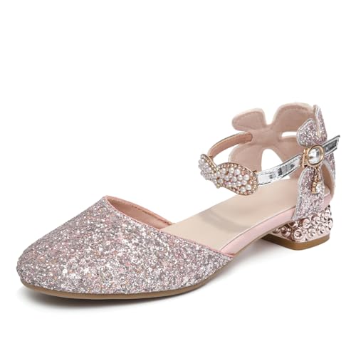 HROYL Flower Girls Wedding Party Ballroom Low Heel Princess Shoes Closed Toe Dance Shoes Ballet Flats,Model DS63